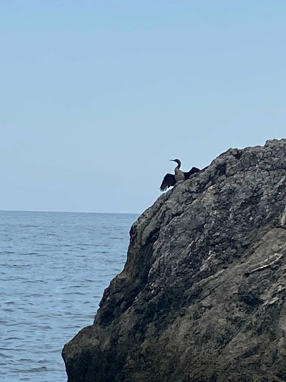 Фото Гостевого дома Реоли Форос 145