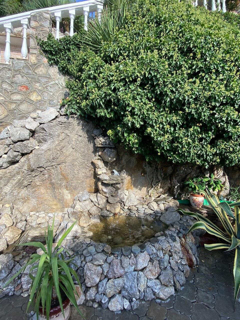 Фото Гостевого дома Реоли Форос 29