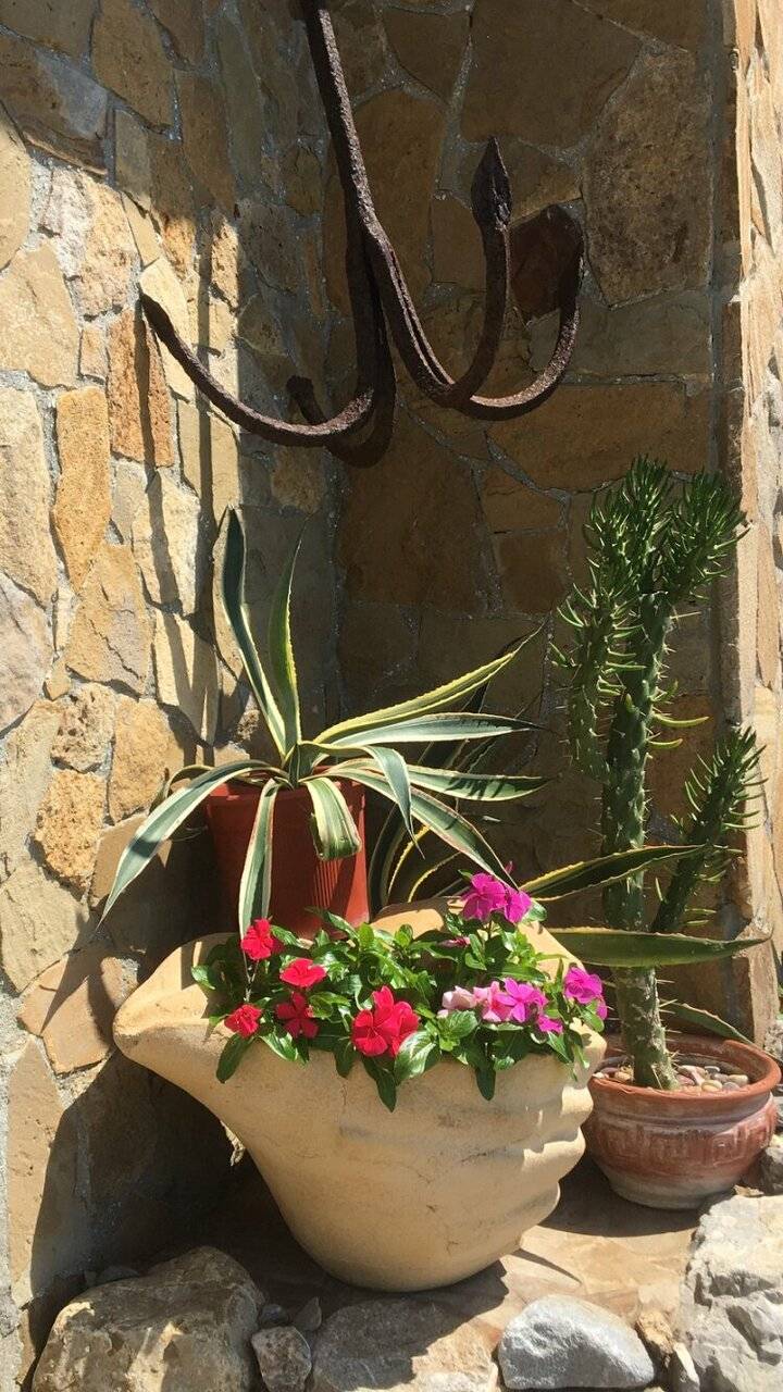 Фото Гостевого дома Реоли Форос 208