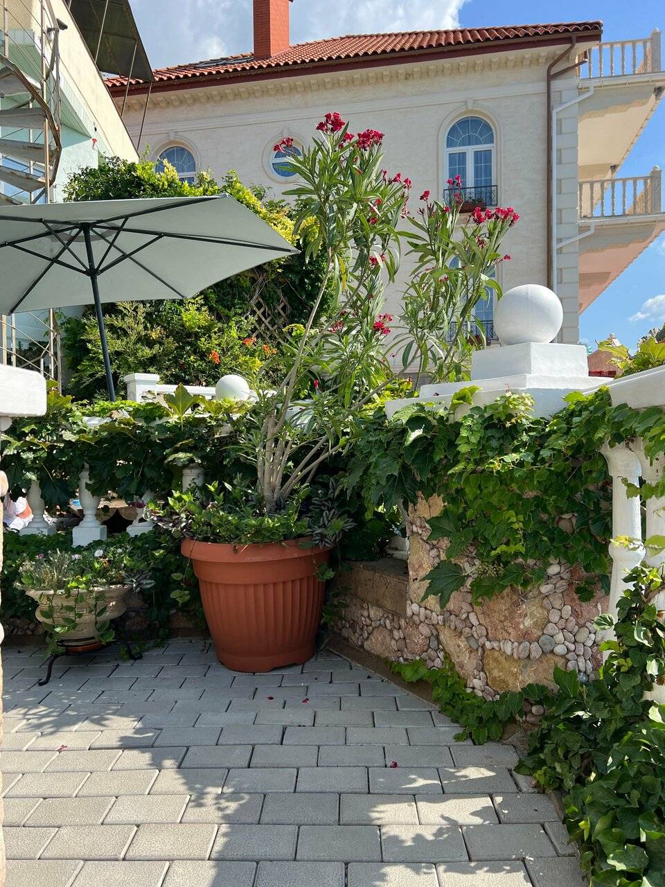 Фото Гостевого дома Реоли Форос 164