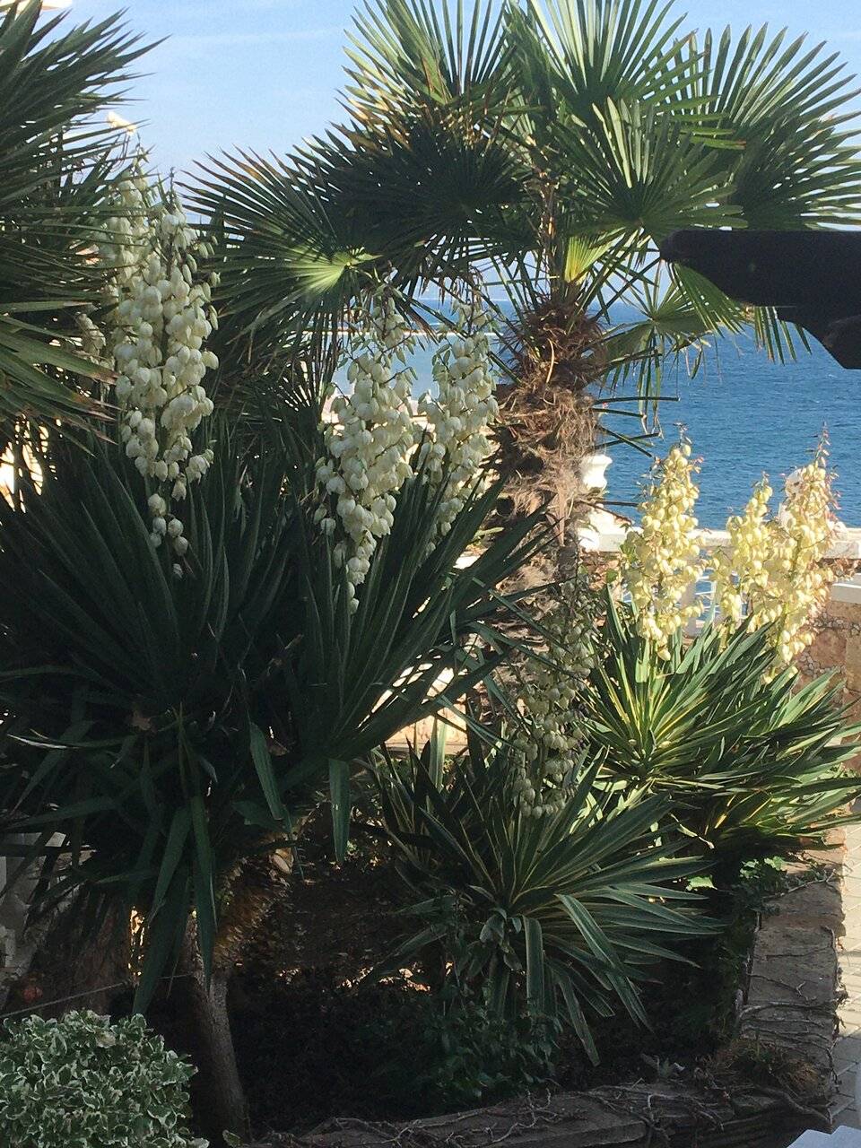 Фото Гостевого дома Реоли Форос 206