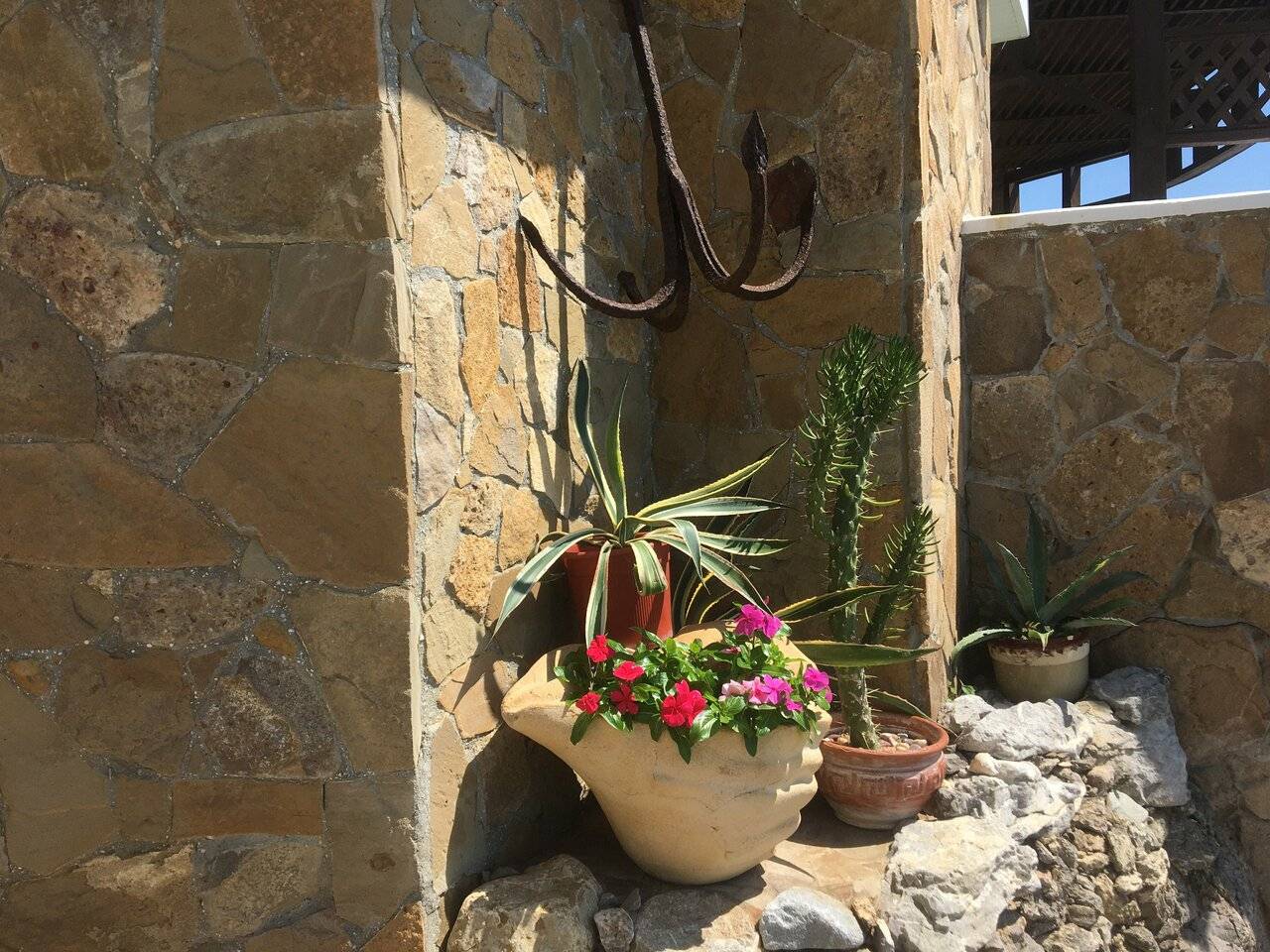 Фото Гостевого дома Реоли Форос 41