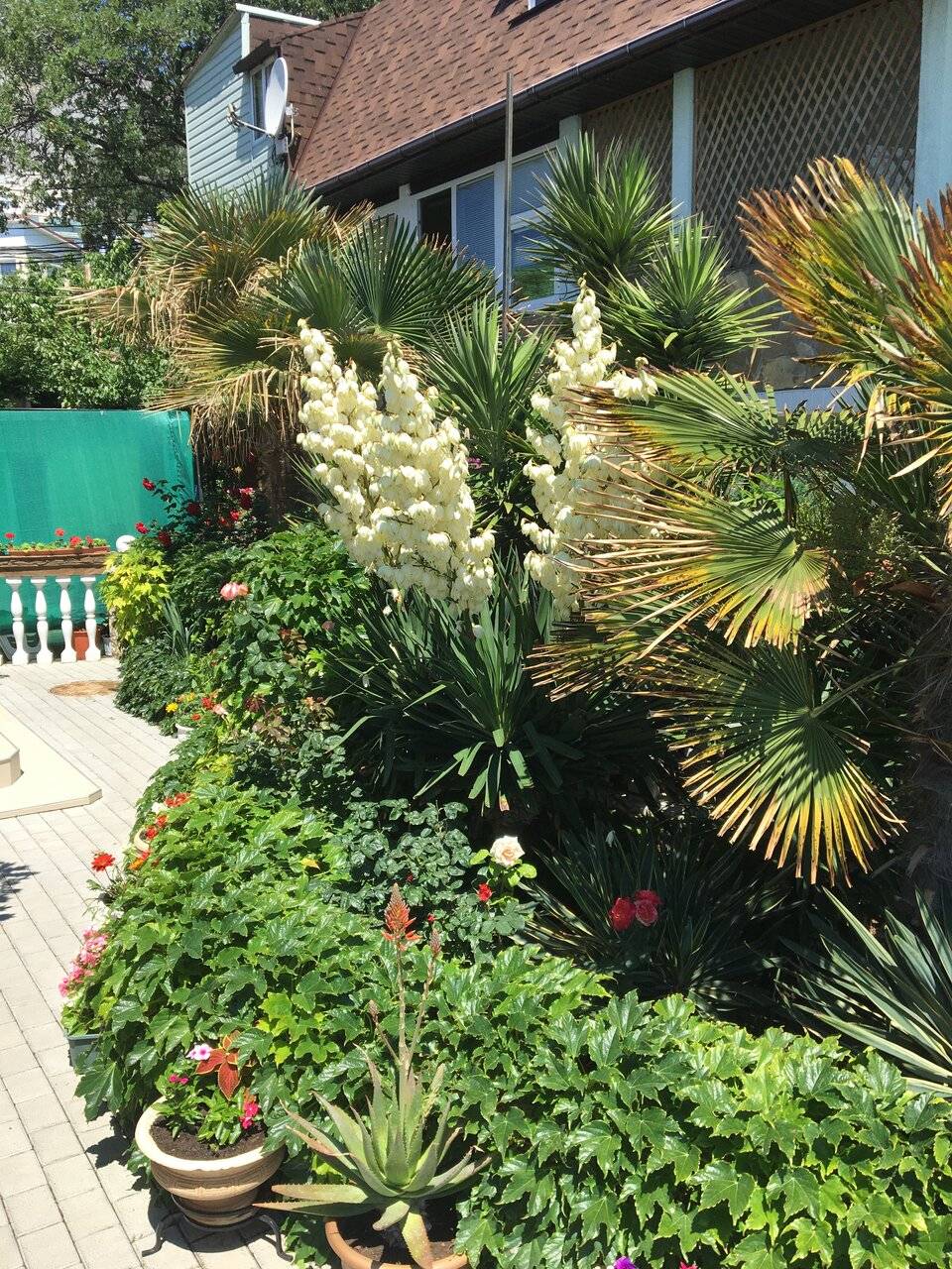 Фото Гостевого дома Реоли Форос 31