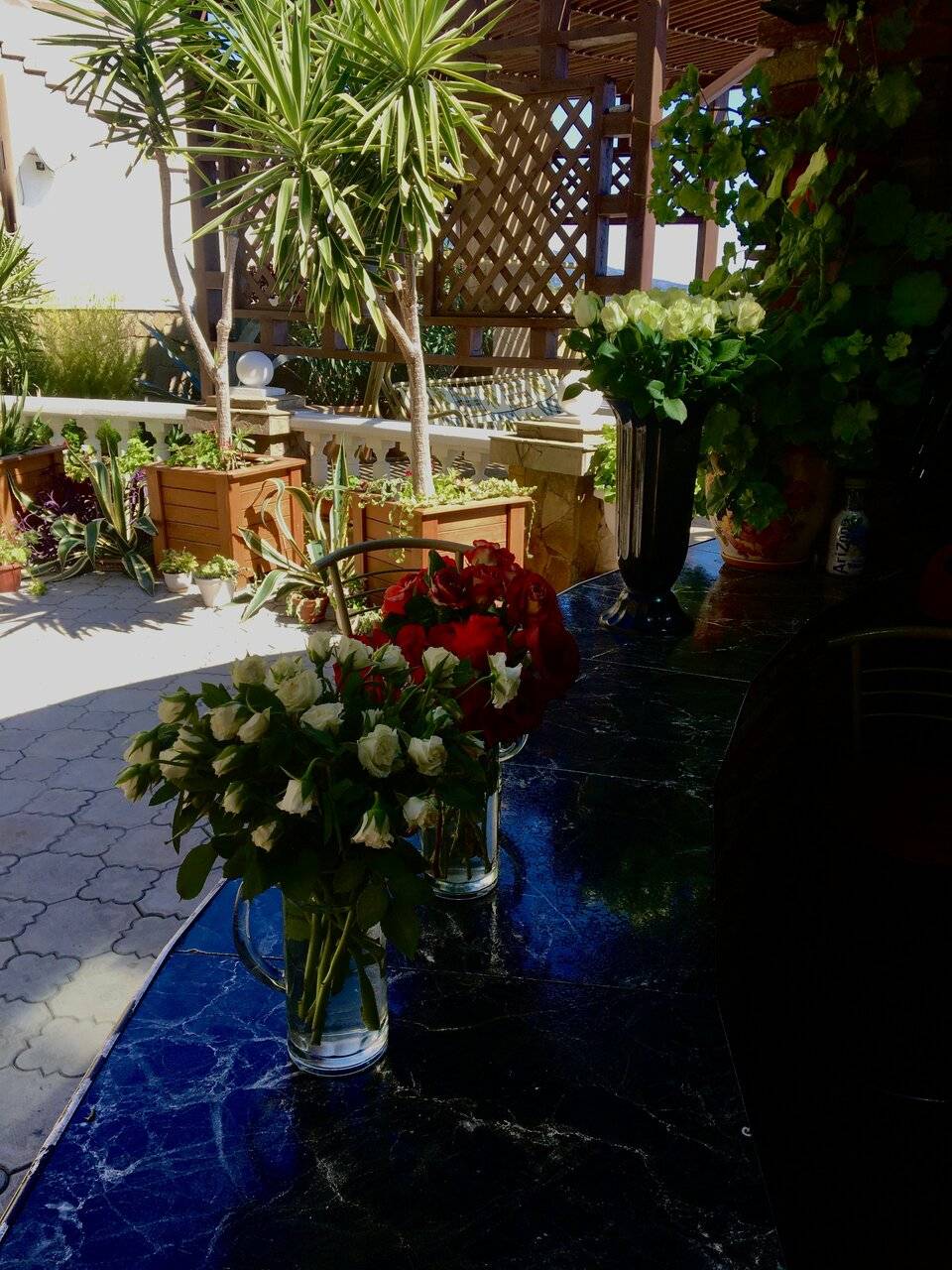 Фото Гостевого дома Реоли Форос 161