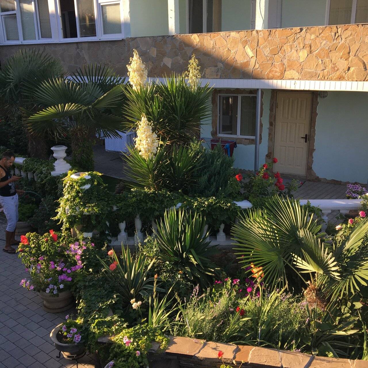 Фото Гостевого дома Реоли Форос 127