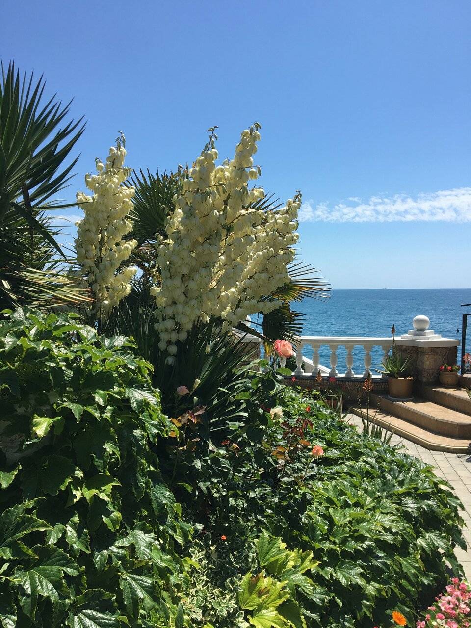 Фото Гостевого дома Реоли Форос 85