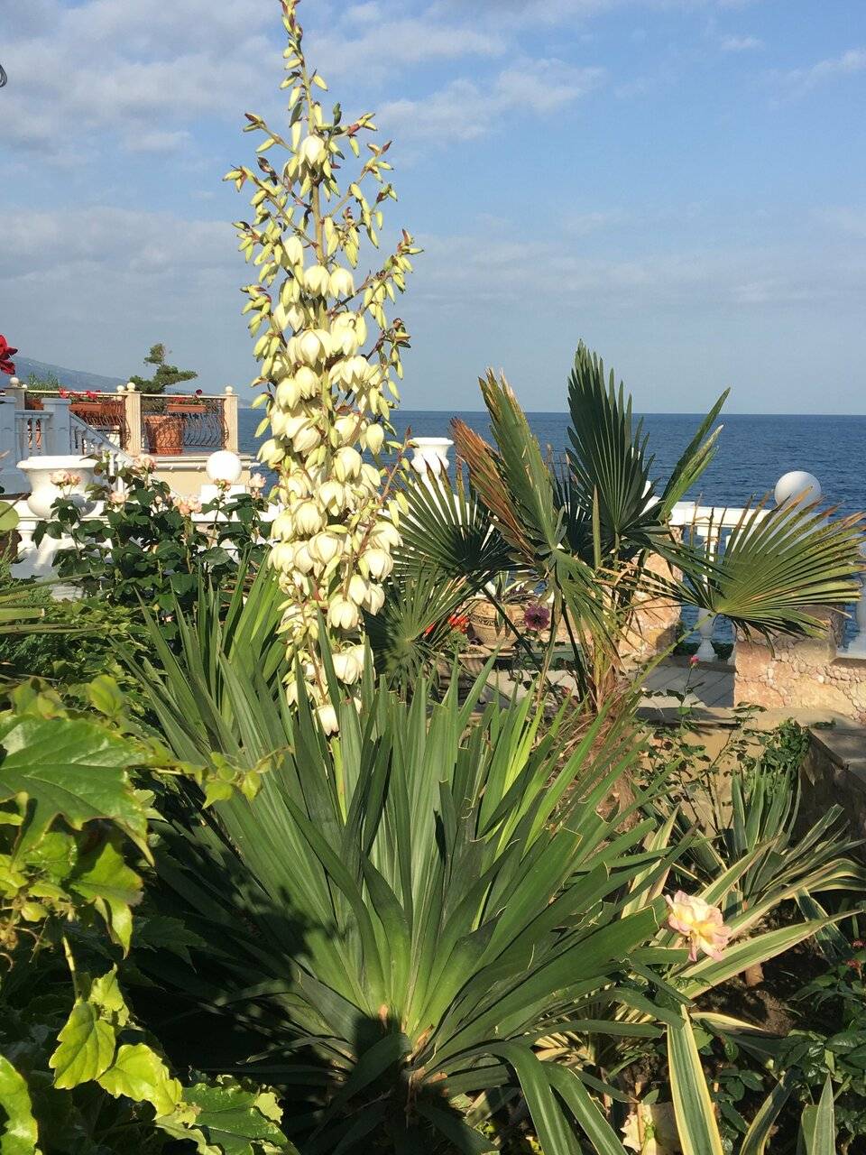 Фото Гостевого дома Реоли Форос 115