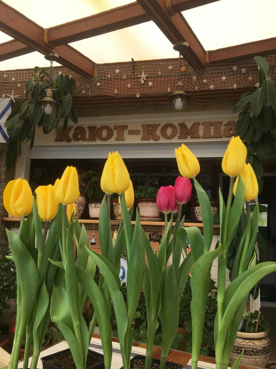 Фото Гостевого дома Реоли Форос 15