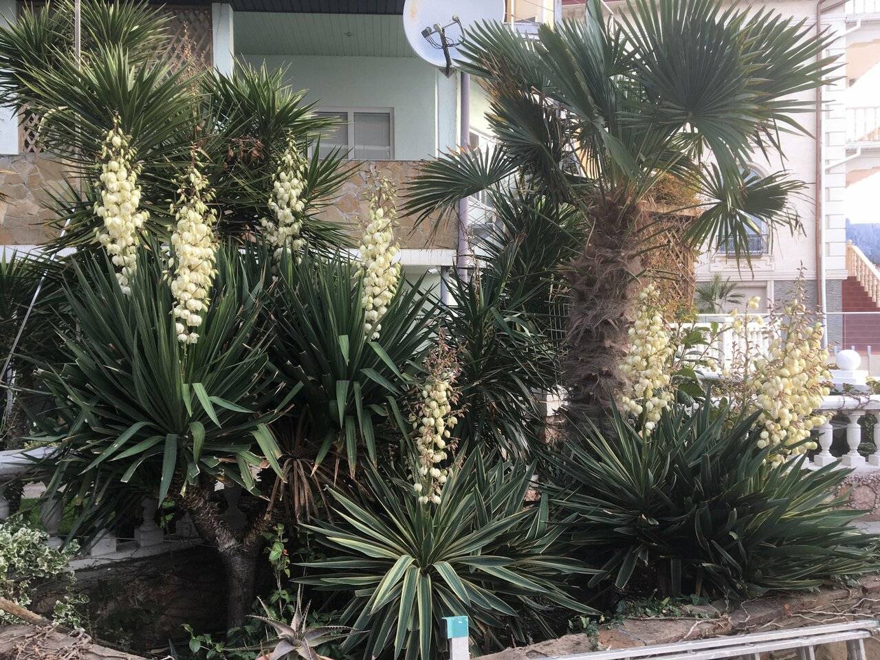 Фото Гостевого дома Реоли Форос 157