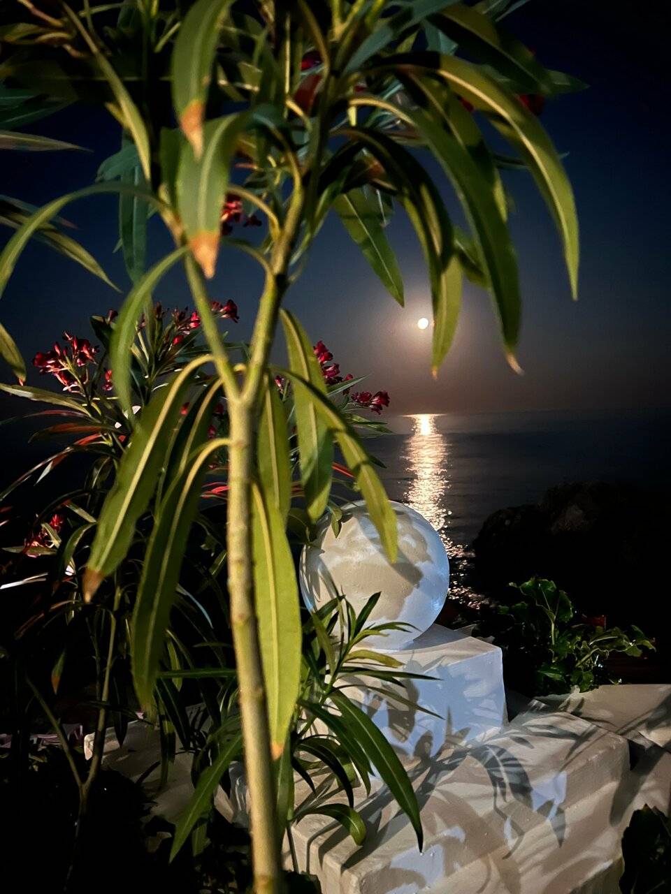 Фото Гостевого дома Реоли Форос 199