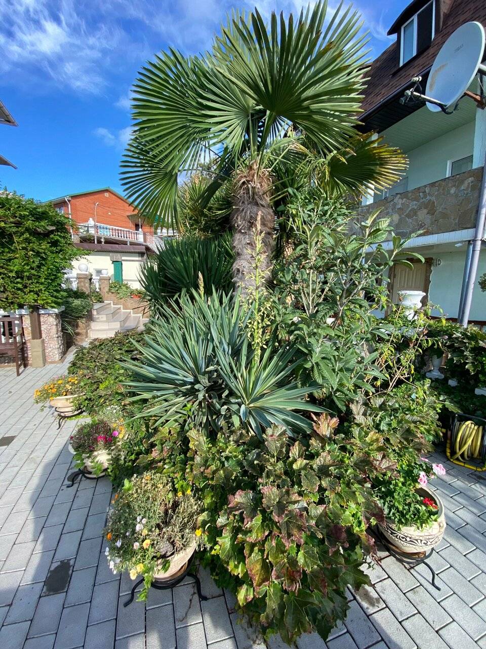 Фото Гостевого дома Реоли Форос 123