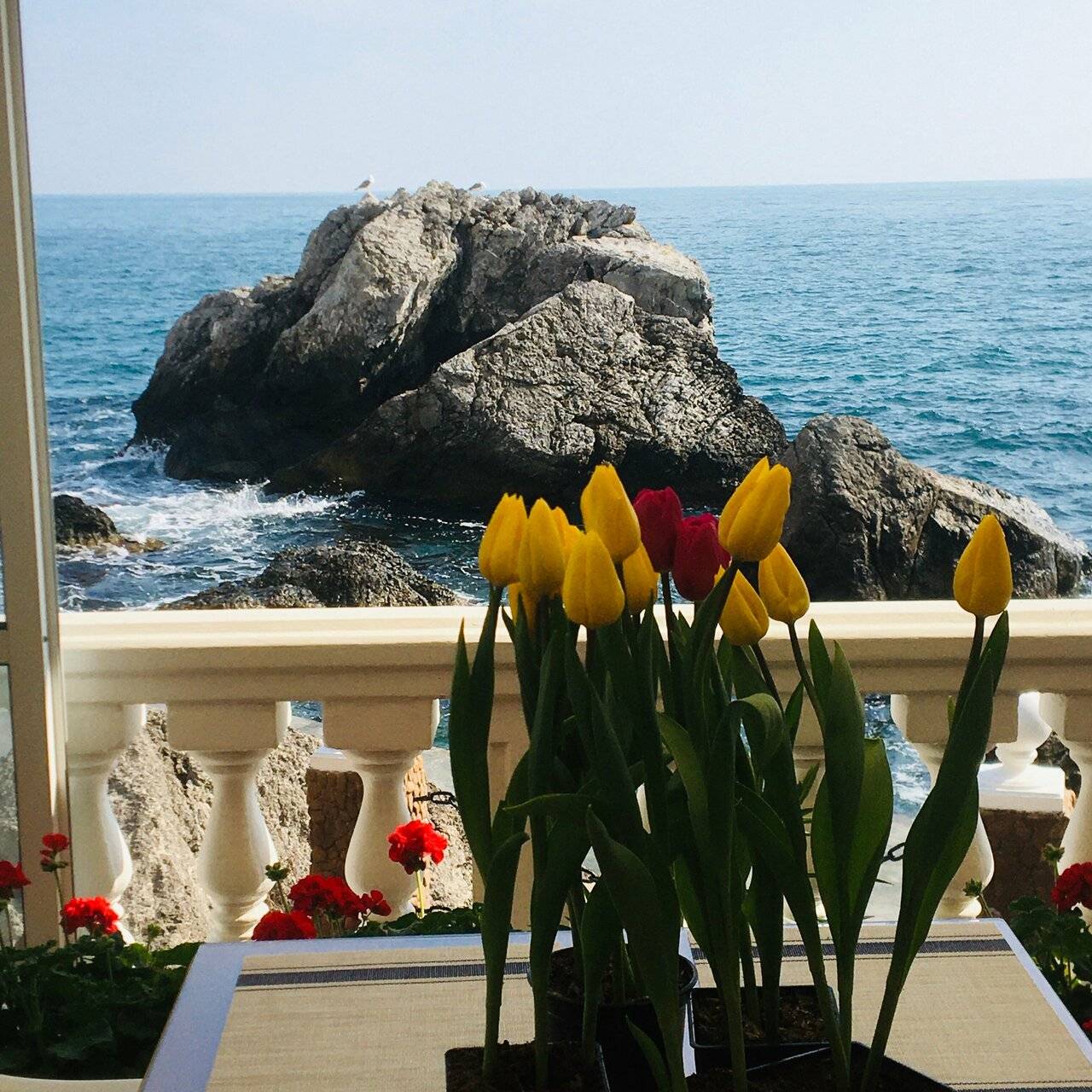 Фото Гостевого дома Реоли Форос 104