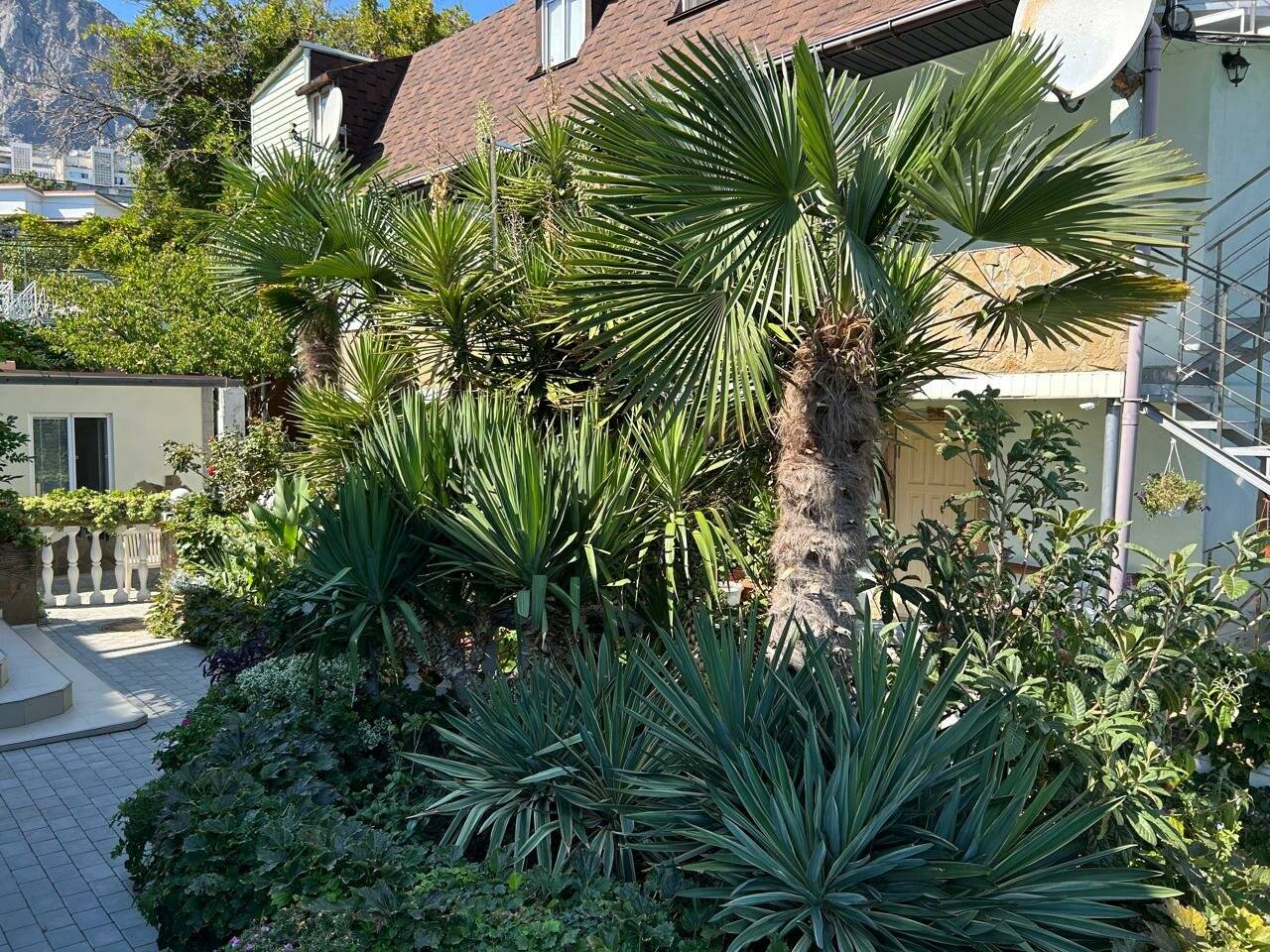 Фото Гостевого дома Реоли Форос 9